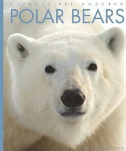 Animals Are Amazing: Polar Bears - Valerie Bodden