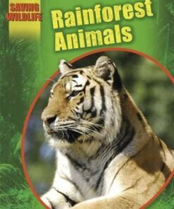 Saving Wildlife: Rainforest Animals - Sonya Newland