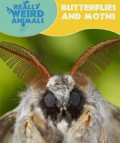Really Weird Animals: Butterflies and Moths - Clare Hibbert
