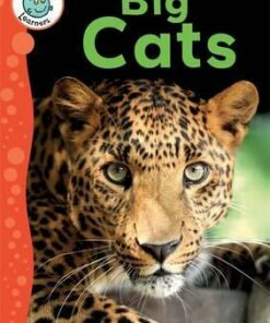 Tadpoles Learners: Big Cats - Annabelle Lynch