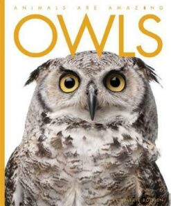 Animals Are Amazing: Owls - Valerie Bodden