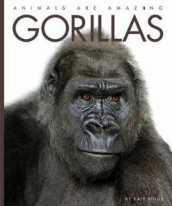Animals Are Amazing: Gorillas - Kate Riggs