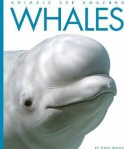 Animals Are Amazing: Whales - Kate Riggs