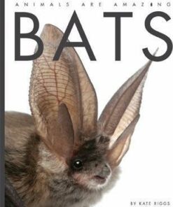 Animals Are Amazing: Bats - Kate Riggs