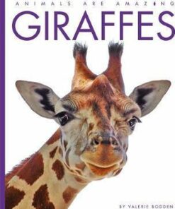 Animals Are Amazing: Giraffes - Valerie Bodden