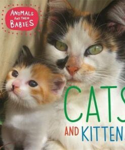Animals and their Babies: Cats & kittens - Annabelle Lynch