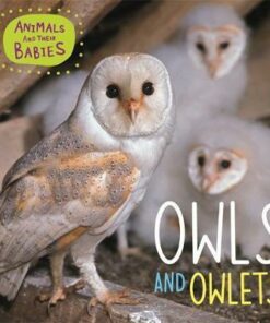 Animals and their Babies: Owls & Owlets - Annabelle Lynch