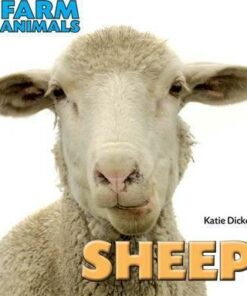 Farm Animals: Sheep - Katie Dicker