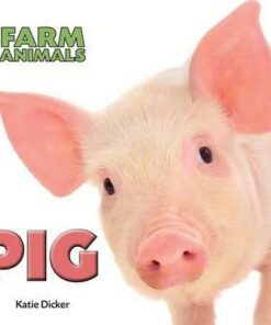 Farm Animals: Pig - Katie Dicker