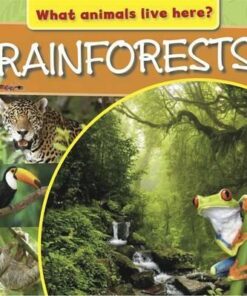 What Animals Live Here?: Rainforests - M. J. Knight