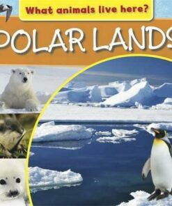 What Animals Live Here?: Polar Lands - M J Knight