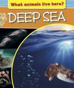 What Animals Live Here?: Deep Sea - M. J. Knight