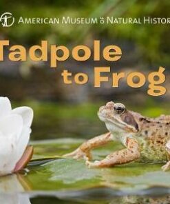 Tadpole to Frog - American Museum of Natural History