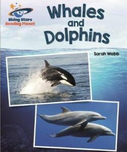 Whales and Dolphins - Sarah Webb