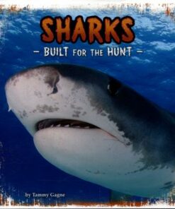 Sharks: Built for the Hunt - Tammy Gagne