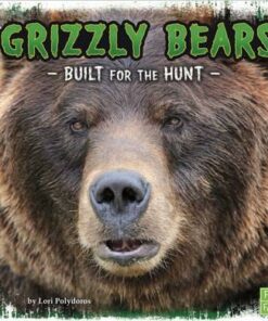 Grizzly Bears: Built for the Hunt - Lori Polydoros