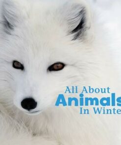 All About Animals in Winter - Martha E. H. Rustad