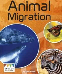 Level 30: Animal Migration - Brian Krumm