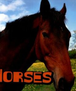 Horses - Sheri Doyle