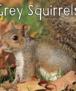 Grey Squirrels - G. G. Lake