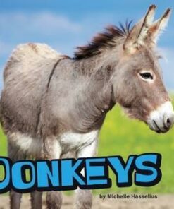 Donkeys - Michelle M. Hasselius