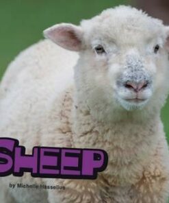 Sheep - Michelle M. Hasselius