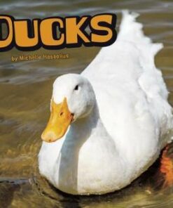 Ducks - Michelle M. Hasselius