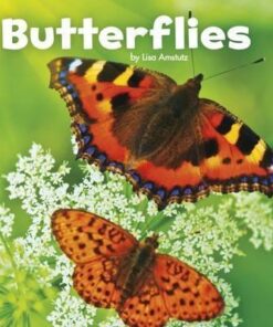 Butterflies - Lisa J. Amstutz