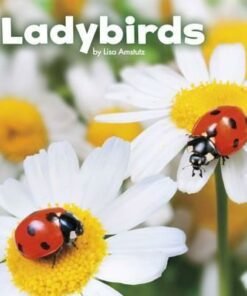 Ladybirds - Lisa J. Amstutz