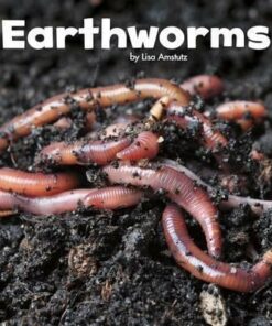Earthworms - Lisa J. Amstutz