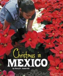 Christmas in Mexico - Cheryl L. Enderlein