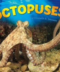 Octopuses - Elizabeth R. Johnson