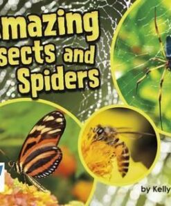 Level 18: Amazing Insects & Spiders - Kelly Gaffney