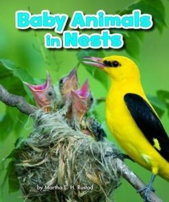 Baby Animals in Nests - Martha E. H. Rustad