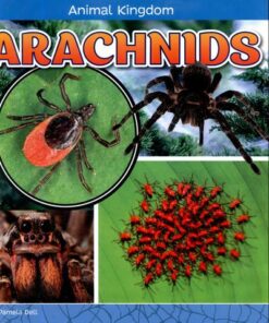 Arachnids - Pamela Dell