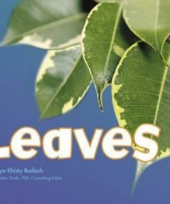 Leaves - Vijaya Khisty Bodach