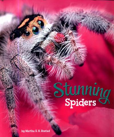 Stunning Spiders - Martha E. H. Rustad