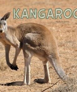 Kangaroos - Rose Davin