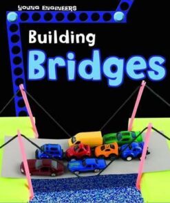 Building Bridges - Tammy Enz