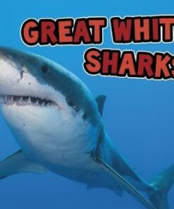 Great White Sharks - Deborah Nuzzolo