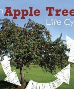 An Apple Tree's Life Cycle - Mary R. Dunn