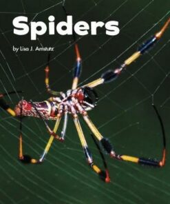 Spiders - Lisa J. Amstutz