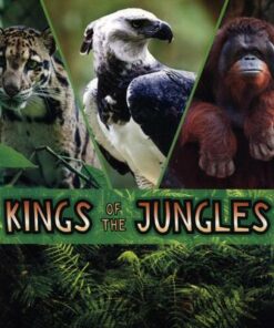 Kings of the Jungles - Lisa J. Amstutz
