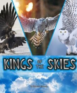 Kings of the Skies - Rebecca Rissman