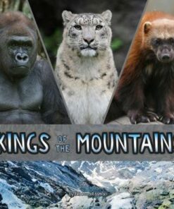 Kings of the Mountains - Rebecca Rissman