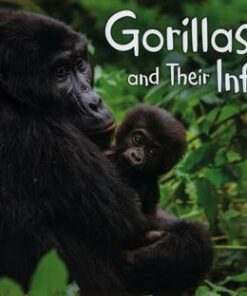 Gorillas and Their Infants - Margaret Hall