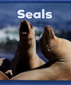 Seals - Kathryn Clay