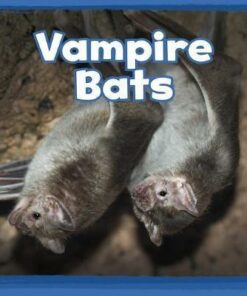 Vampire Bats - Kathryn Clay