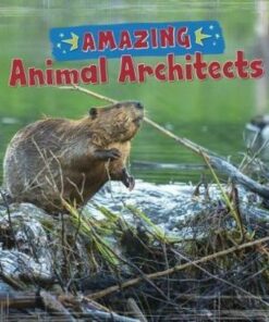 Amazing Animal Architects - Rebecca Rissman