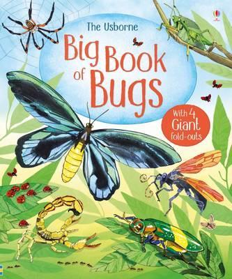Big Book of Big Bugs - Emily Bone